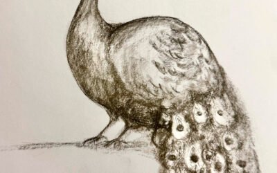 Retrato de Pavo Real